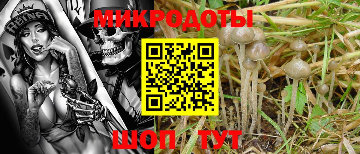 Псилоцибиновые грибы ЛСД  Вход с VPN  Кизляр 