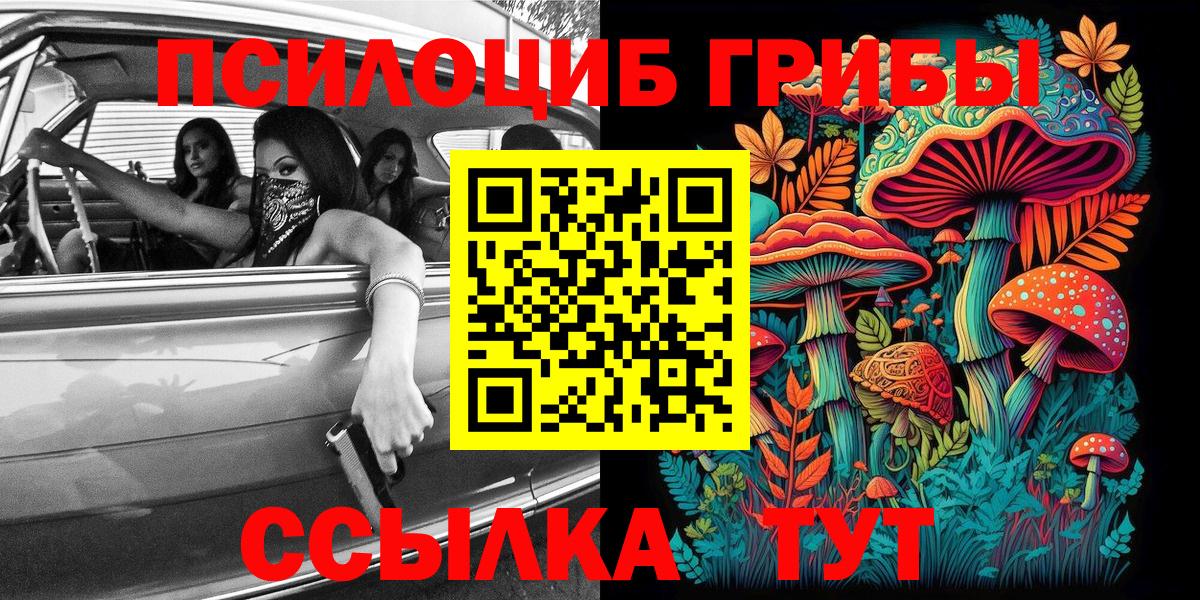 Галлюциногенные грибы MAGIC MUSHROOMS Кизляр